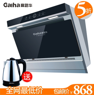 ·̻galuha·̻Ƽ-̻Ʒ