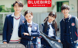 BLUEBIRD-ɶװ޹˾-УƷ