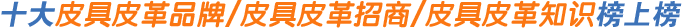 ʮƤƷưϰ