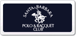 ʥPolo