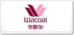 华歌尔Wacoal