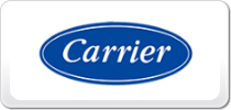 Carrier