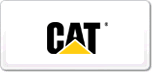 رCAT