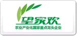 望家欢