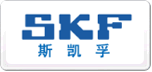 SKF斯凯孚