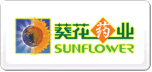 葵花SUNFLOWER