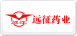 远征
