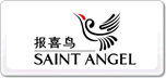 ϲSaintAngelo