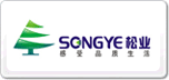 ҵSONGYE