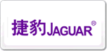 ݱJaguar