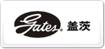 Gates盖茨