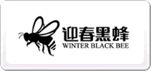 迎春黑蜂