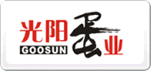 光阳GOOSUN