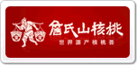 詹氏山核桃