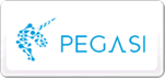 倍佳睡PEGASI