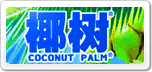 ҬCOCONUTPALM